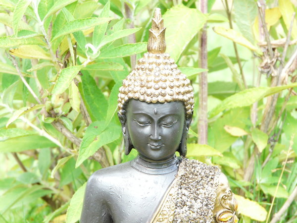 Buddha auf Sockel Set schwarz/goldfarben 25 cm