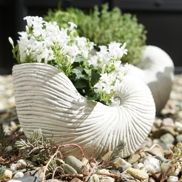 Pflanzmuschel Blumentopf Vase maritim weiß gewischt Keramik